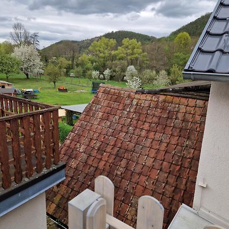 Ferienhaus Reschwitzer Auszeit Saalfeld Saale 外观 照片